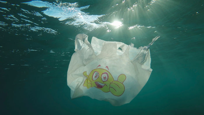Environmental Win 