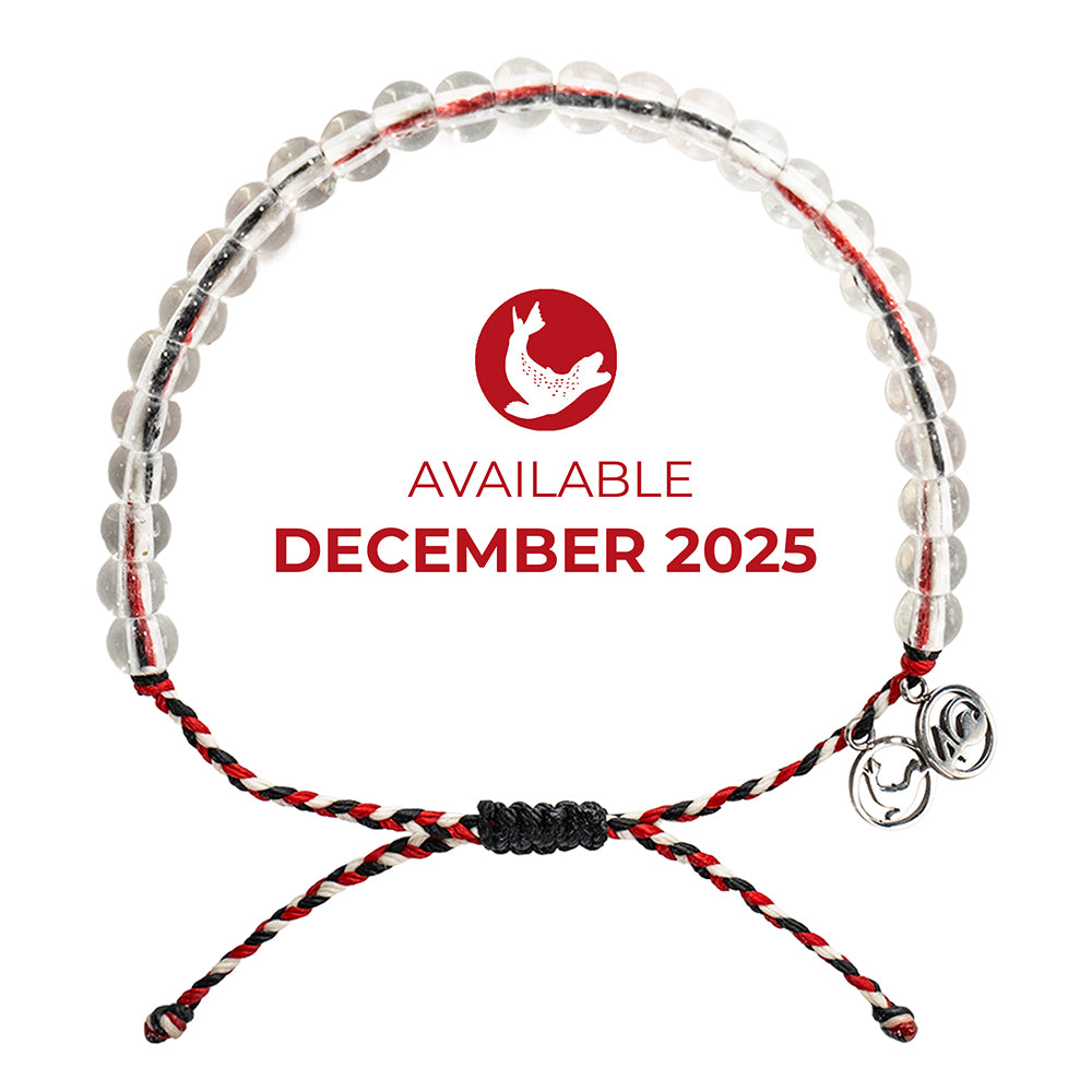 Limited Edition Leopard Seal 2025 Bracelet