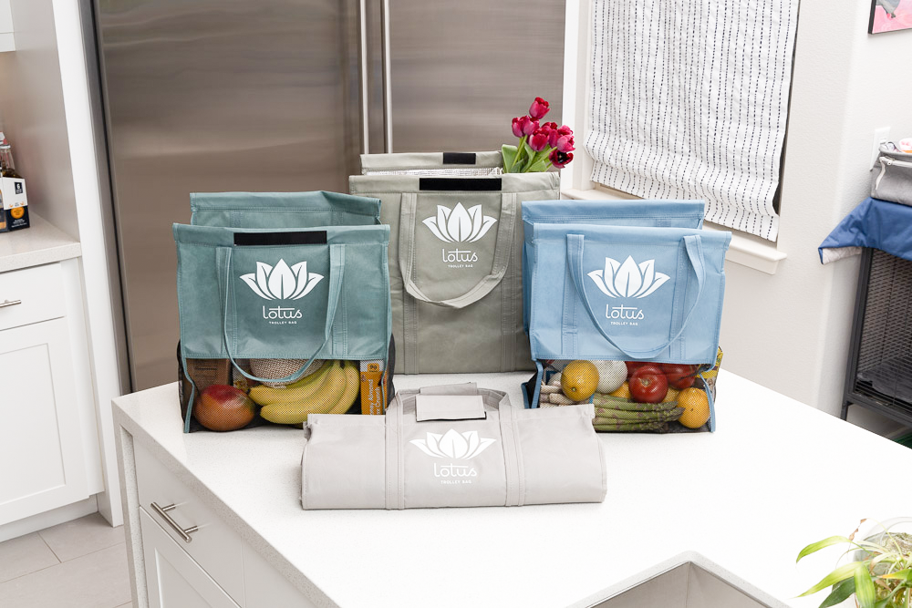 Lotus Sustainables Trolley Bag Earth Tone Colors