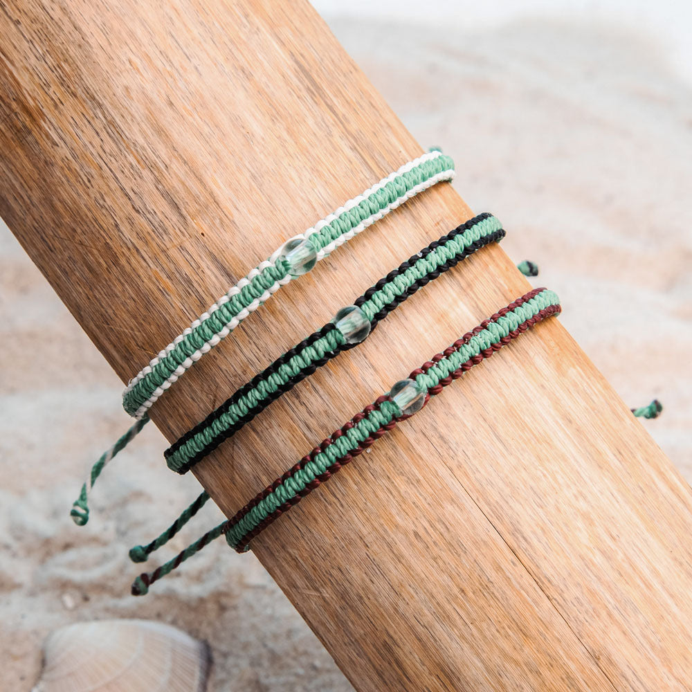 Mangrove Restoration Collection