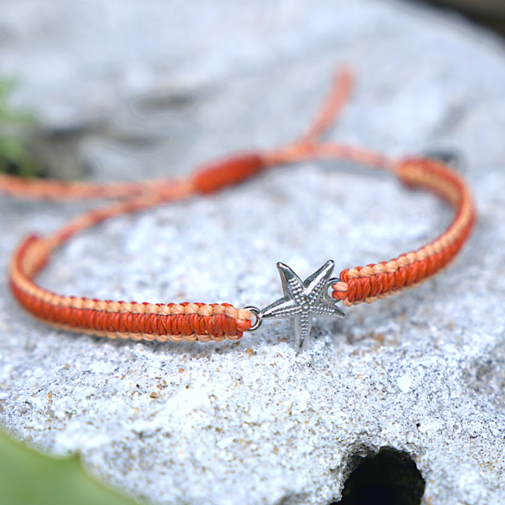 Reef and Tidepool Bundle