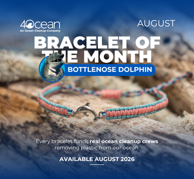 Bracelet of the Month Club - Monthly