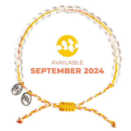 2024 Clownfish Bracelet | Limited Edition | 4ocean Bracelet of the