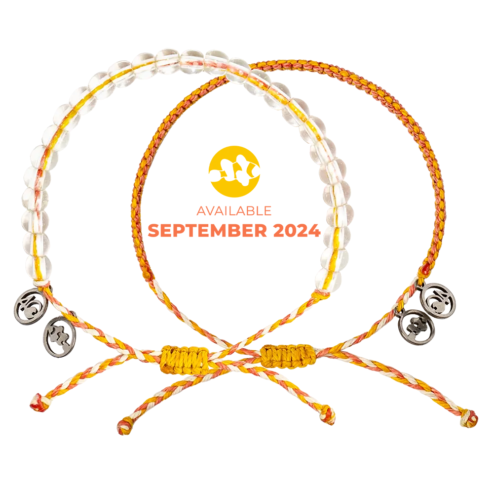 2024 Clownfish Bracelet | Limited Edition | 4ocean Bracelet of the Month