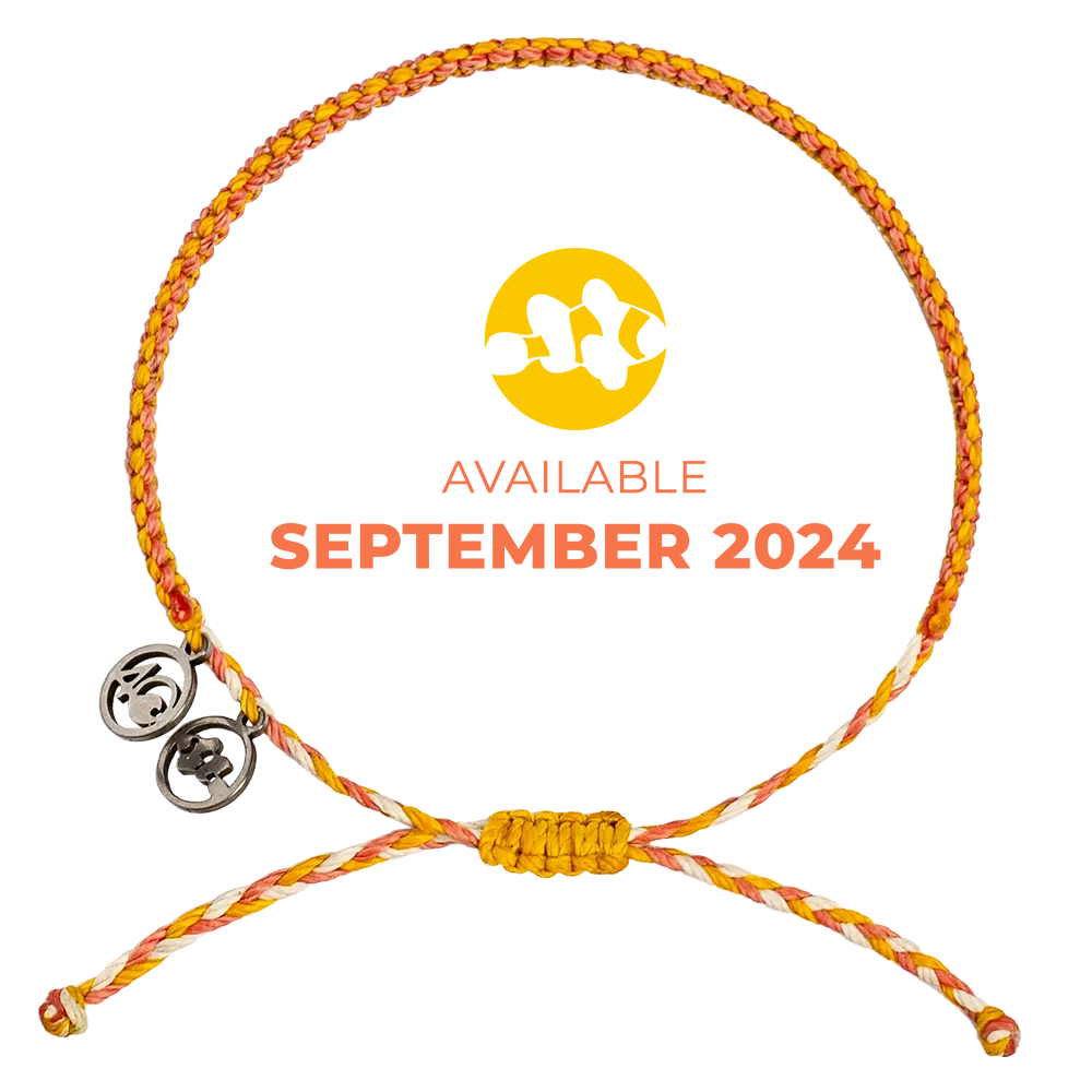 2024 Clownfish Bracelet | Limited Edition | 4ocean Bracelet of the Month