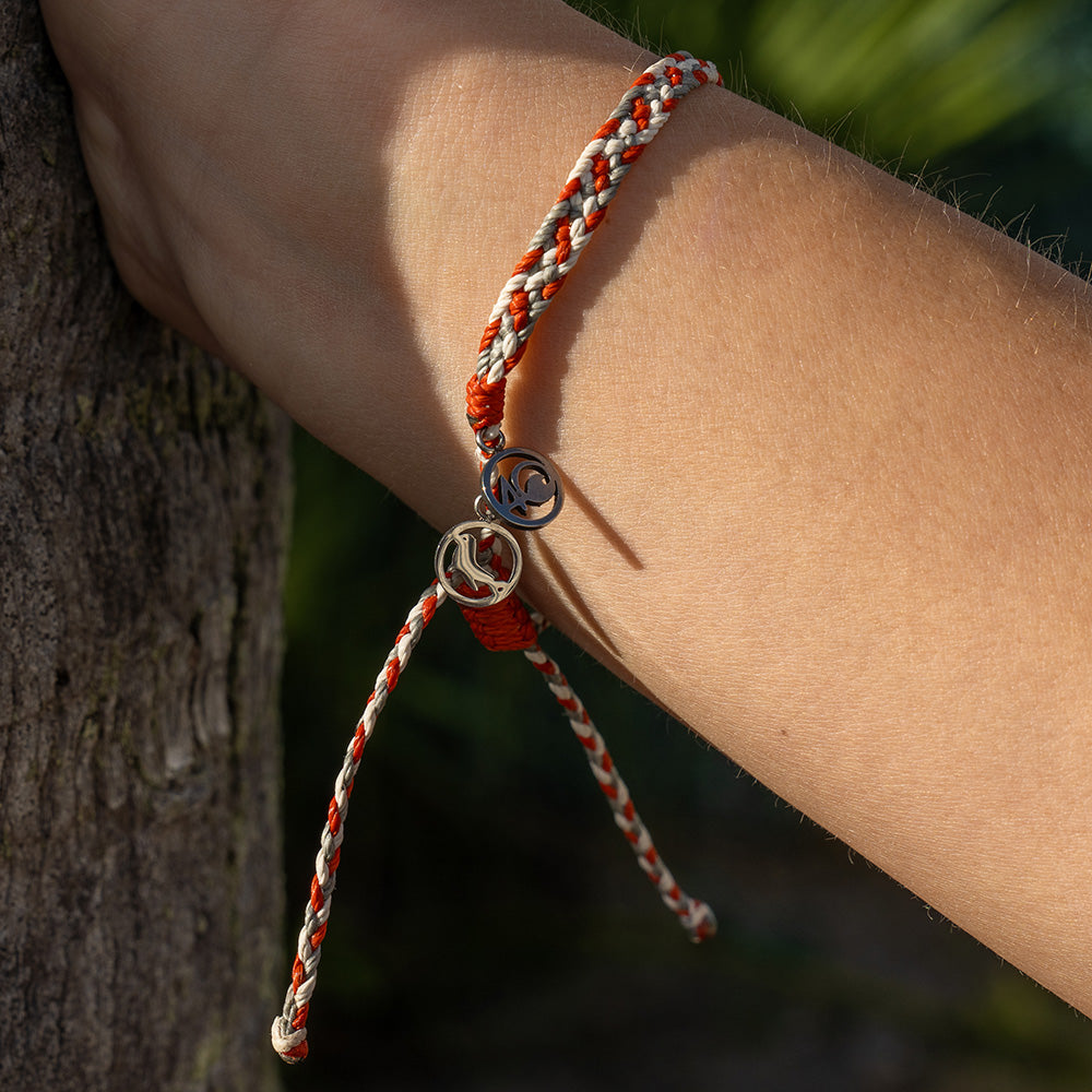 2025 Harp Seal Bracelet | Limited Edition | 4ocean Bracelet of the Month