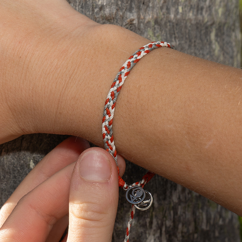 2025 Harp Seal Bracelet | Limited Edition | 4ocean Bracelet of the Month
