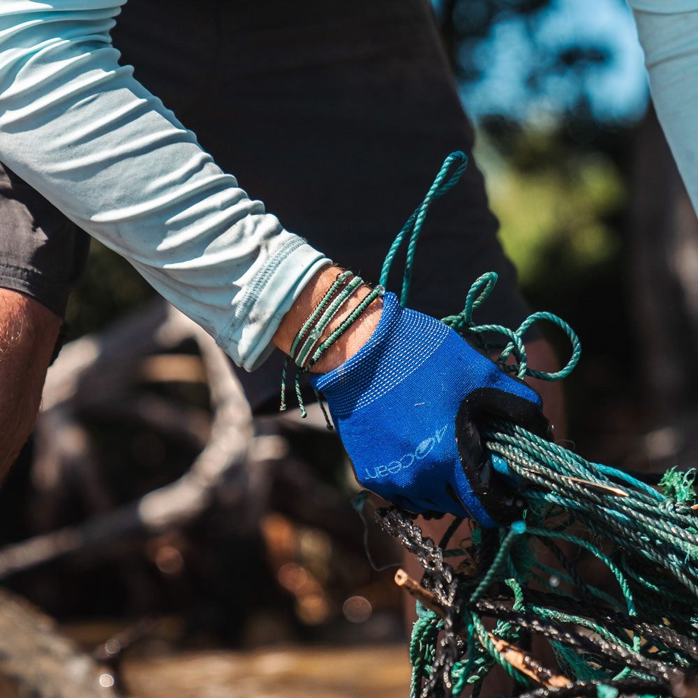 Mangrove Restoration Collection