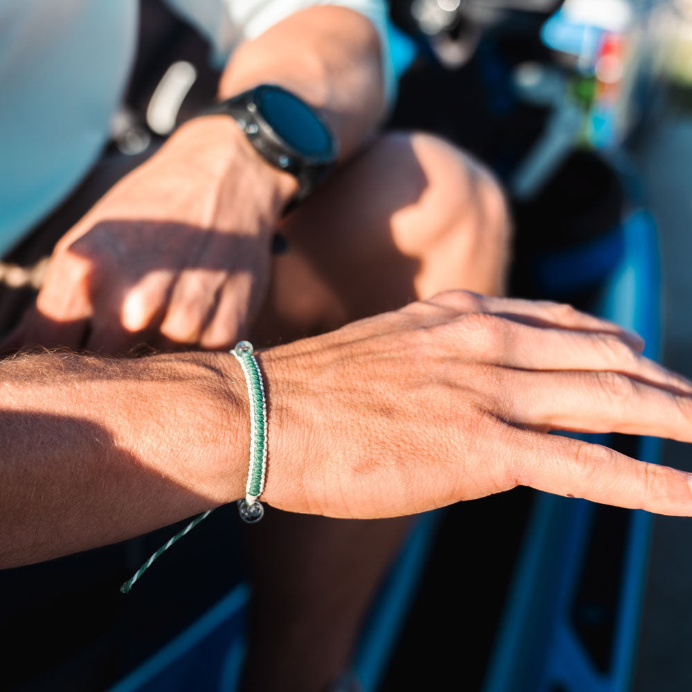 Mangrove Restoration Collection