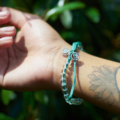 Turtle Love Bundle