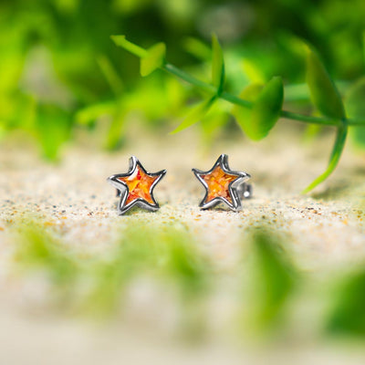 Dune x 4ocean Starfish Stud Earrings