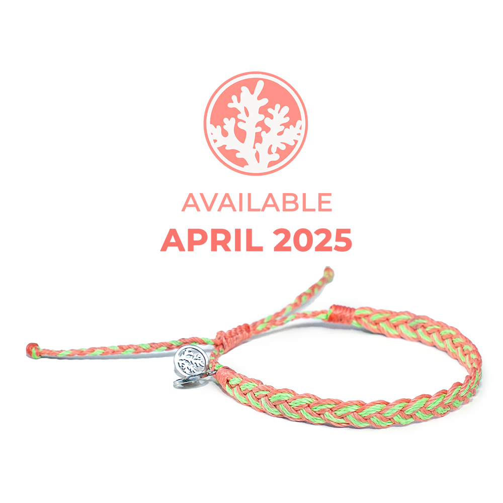 Coral Reef 2025 Bracelet | Limited Edition | 4ocean Bracelet of the Month