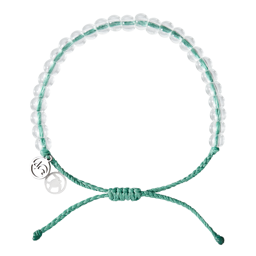 Turtle Love Bundle