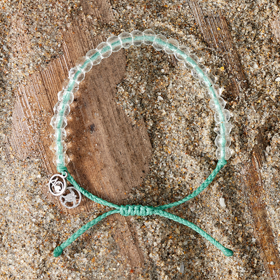 Turtle Love Bundle