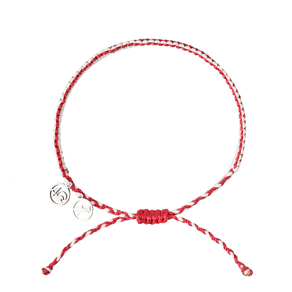 Mako Shark Bracelet