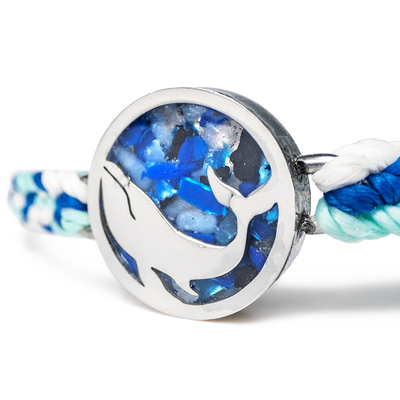 Whale Love Bundle
