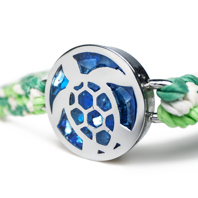 Turtle Love Bundle