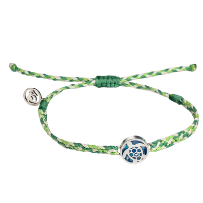 Turtle Love Bundle