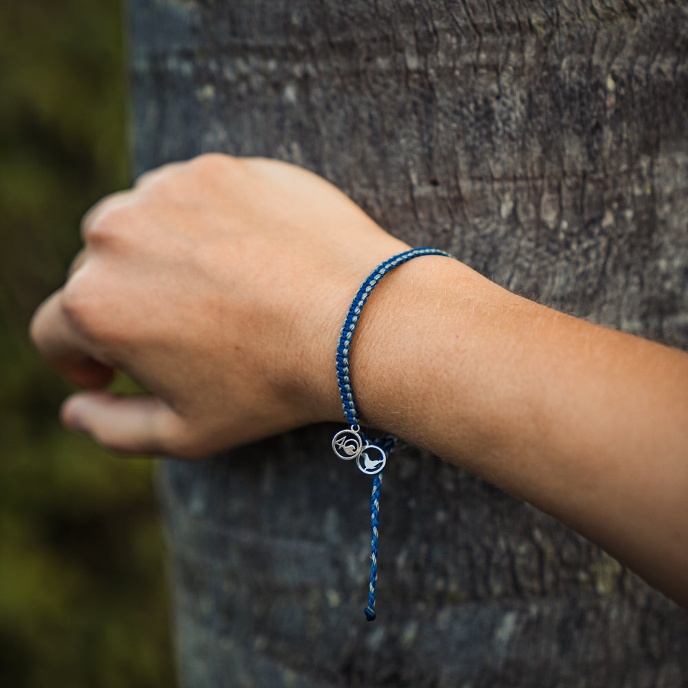４℃ 2024 Spring Collection K10YG Bracelet 2024 Seal Bracelet | Limited Edition | 4ocean Bracelet of the Month