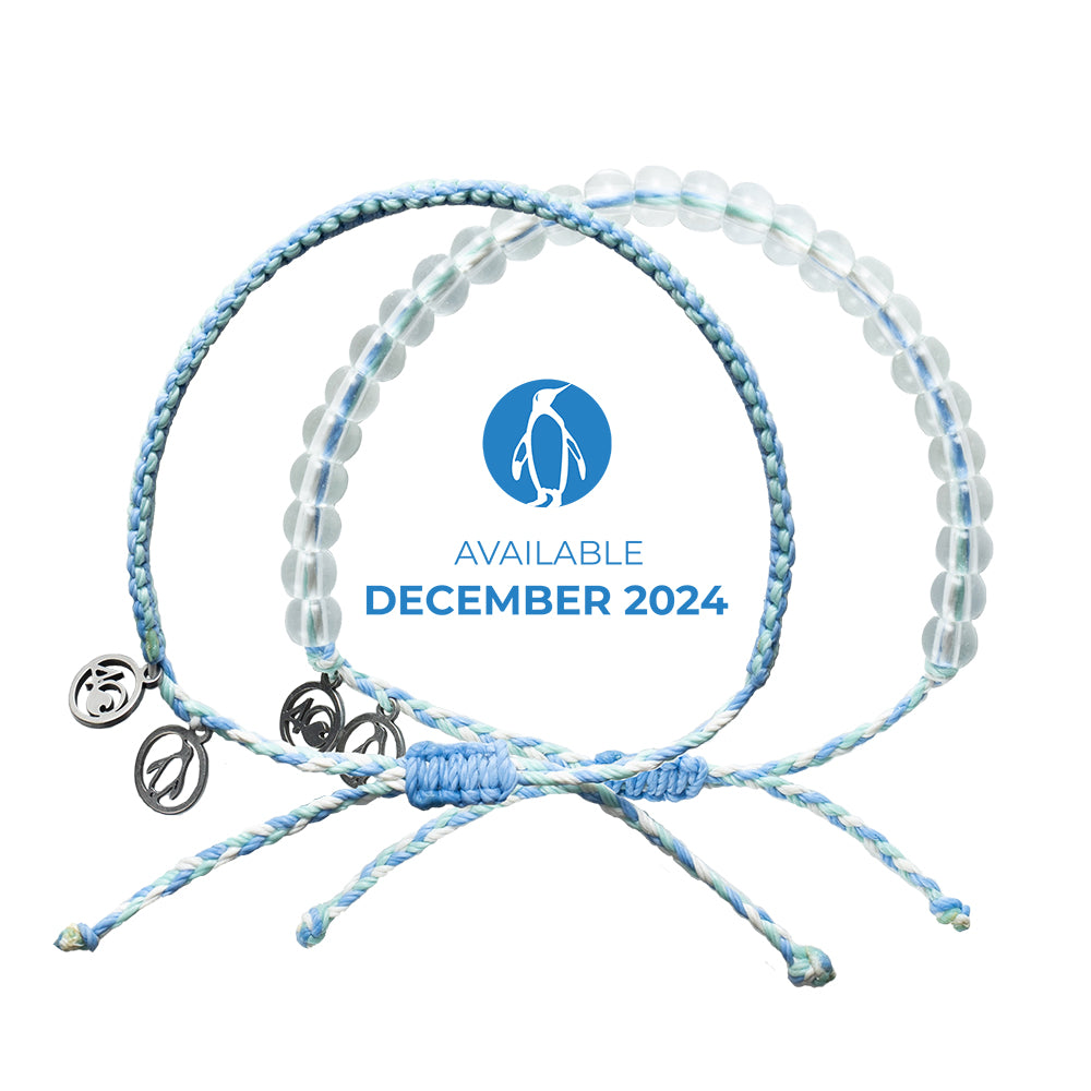 ４℃ 2024 Spring Collection K10YG Bracelet 2024 Penguin Bracelet | Limited Edition | 4ocean Bracelet of the Month