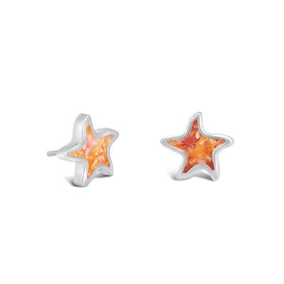 Dune x 4ocean Starfish Stud Earrings
