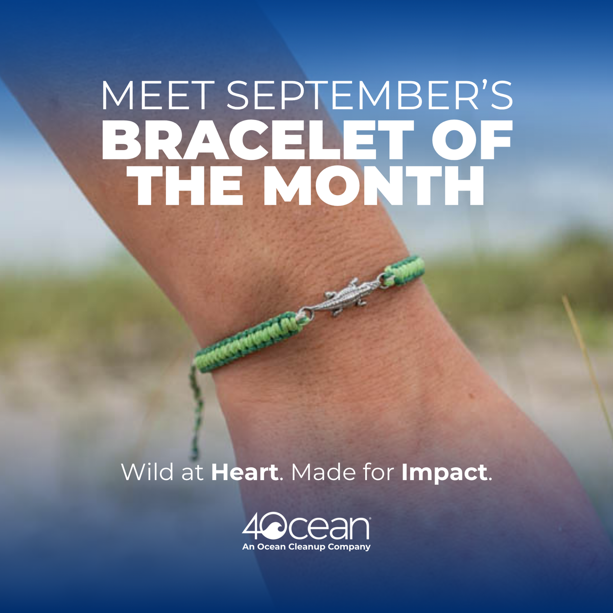 Bracelet of the Month Club - 12 Months