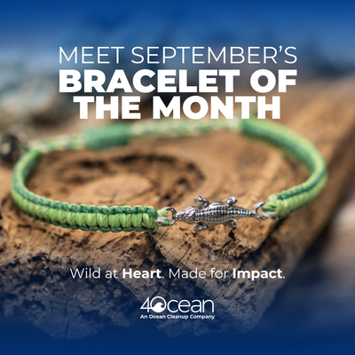 Bracelet of the Month Club - Monthly