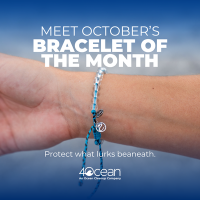 Bracelet of the Month Club - Monthly