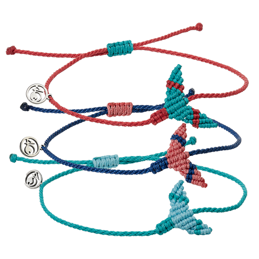 Whale Tail Anklet Bundle