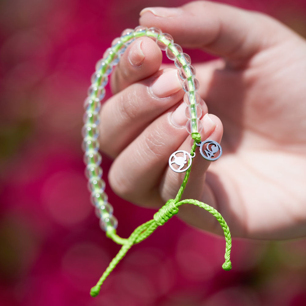 Turtle Love Bundle