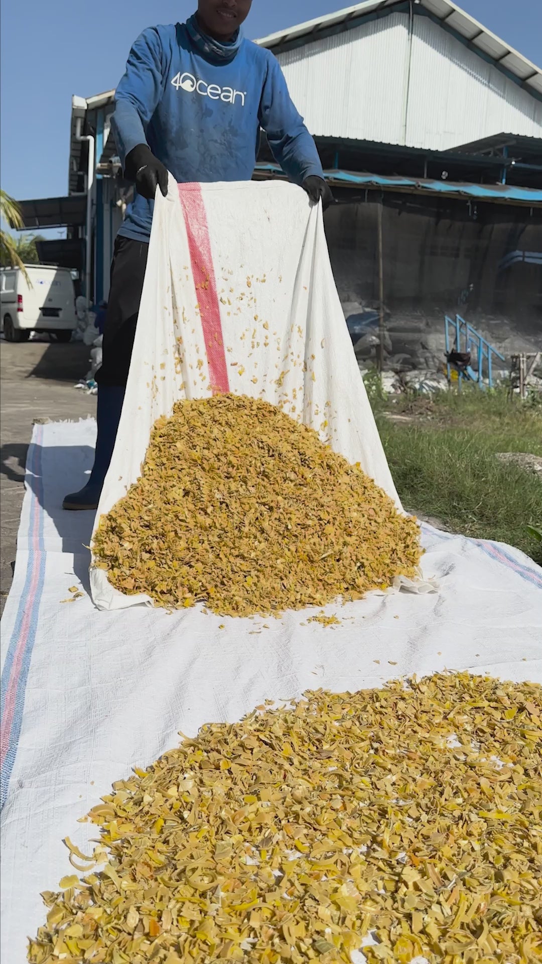 2024 Clownfish Bracelet | Limited Edition | 4ocean Bracelet of the Month