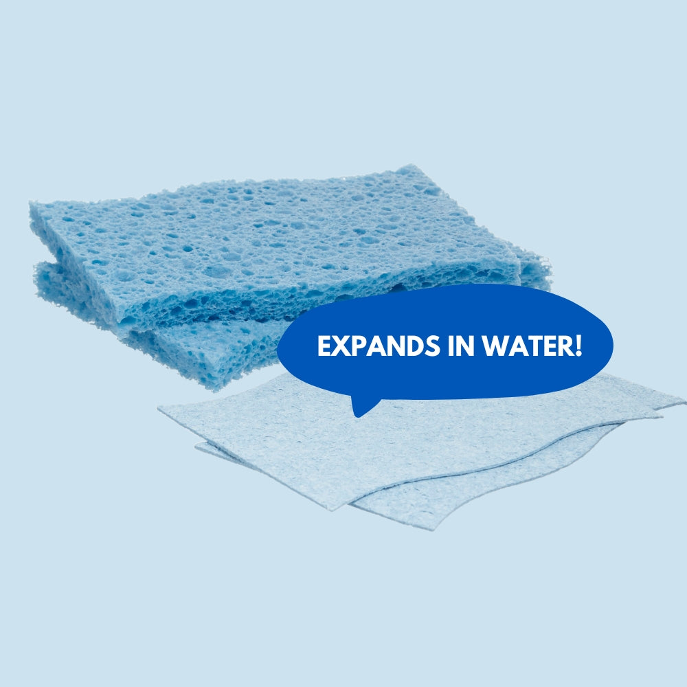 4ocean Biodegradable Sponges