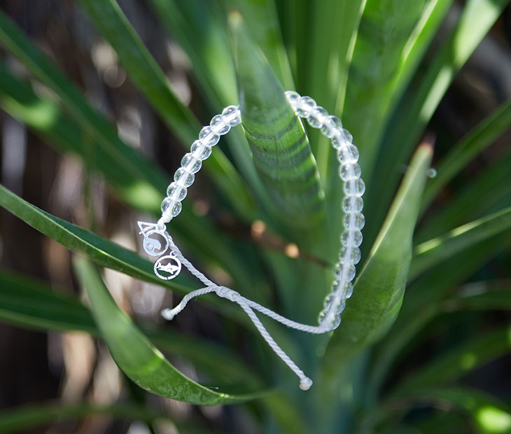 Tiger Shark Beaded Bracelet hanging on the stem of a luscious green plant